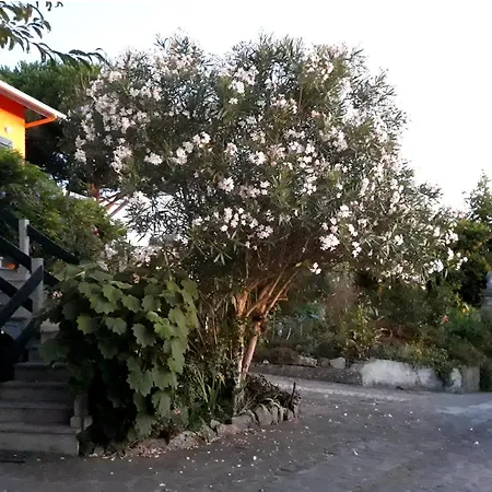 Casa Gwendoline - Friendly & Flexible Dom wakacyjny